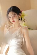 其是正在美国对中国电动汽车征收跨越